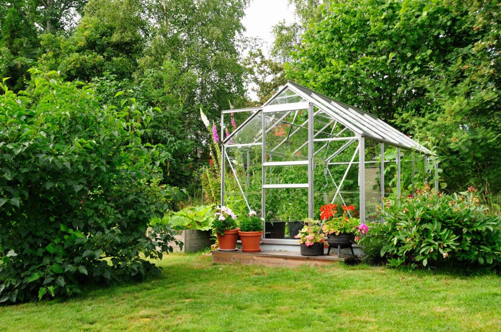 Blog 1 Greenhouses